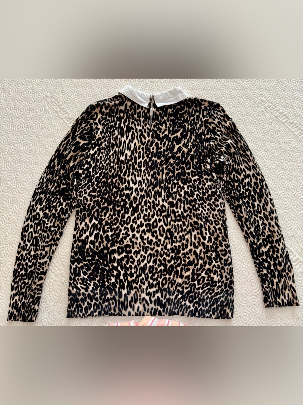 Cable & Gauge Leopard Sweater Top w/ White Cotton Collar Black Cream Ladies Med - Picture 5 of 12